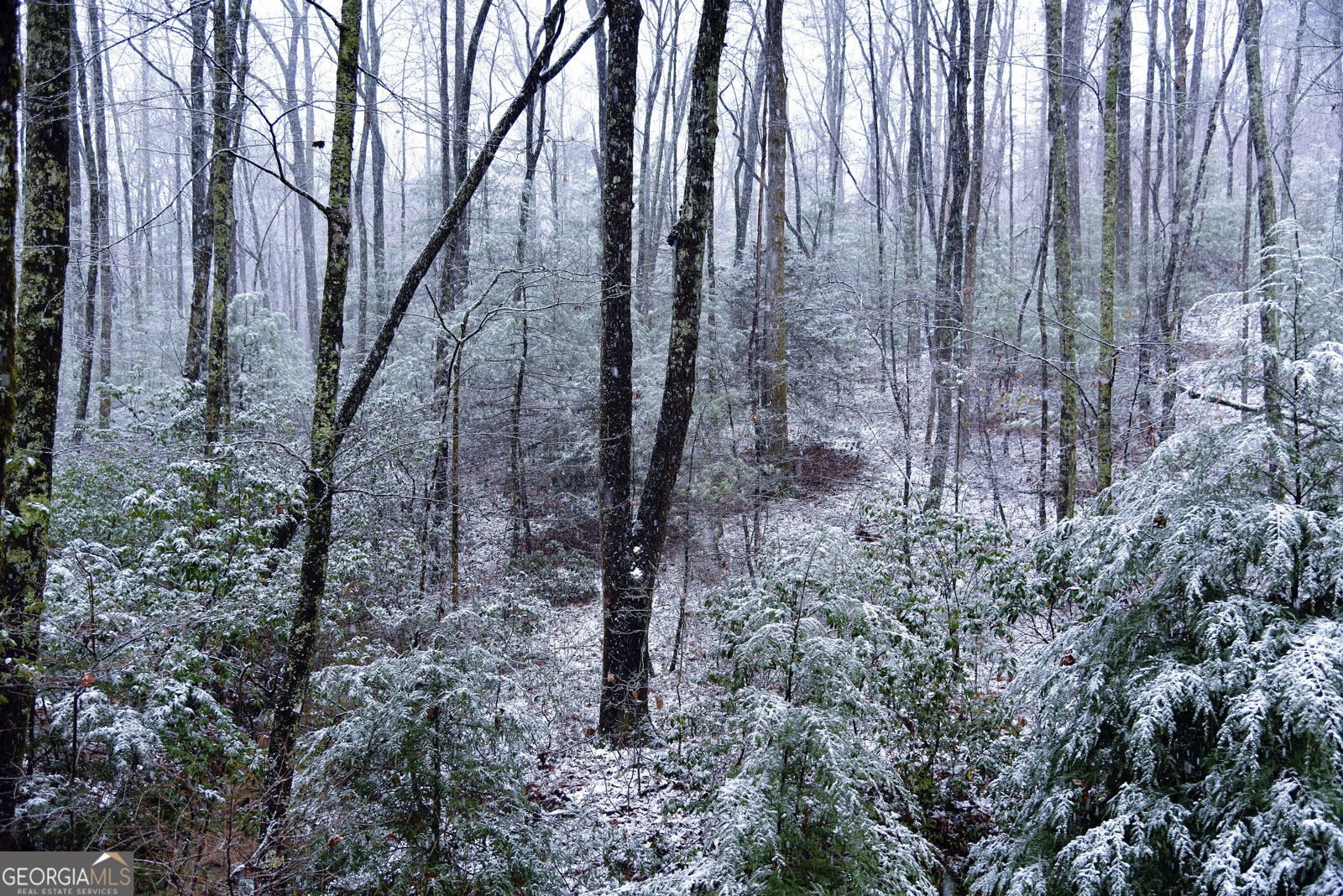 456 Bull Frog Lane Clayton - Photo 82