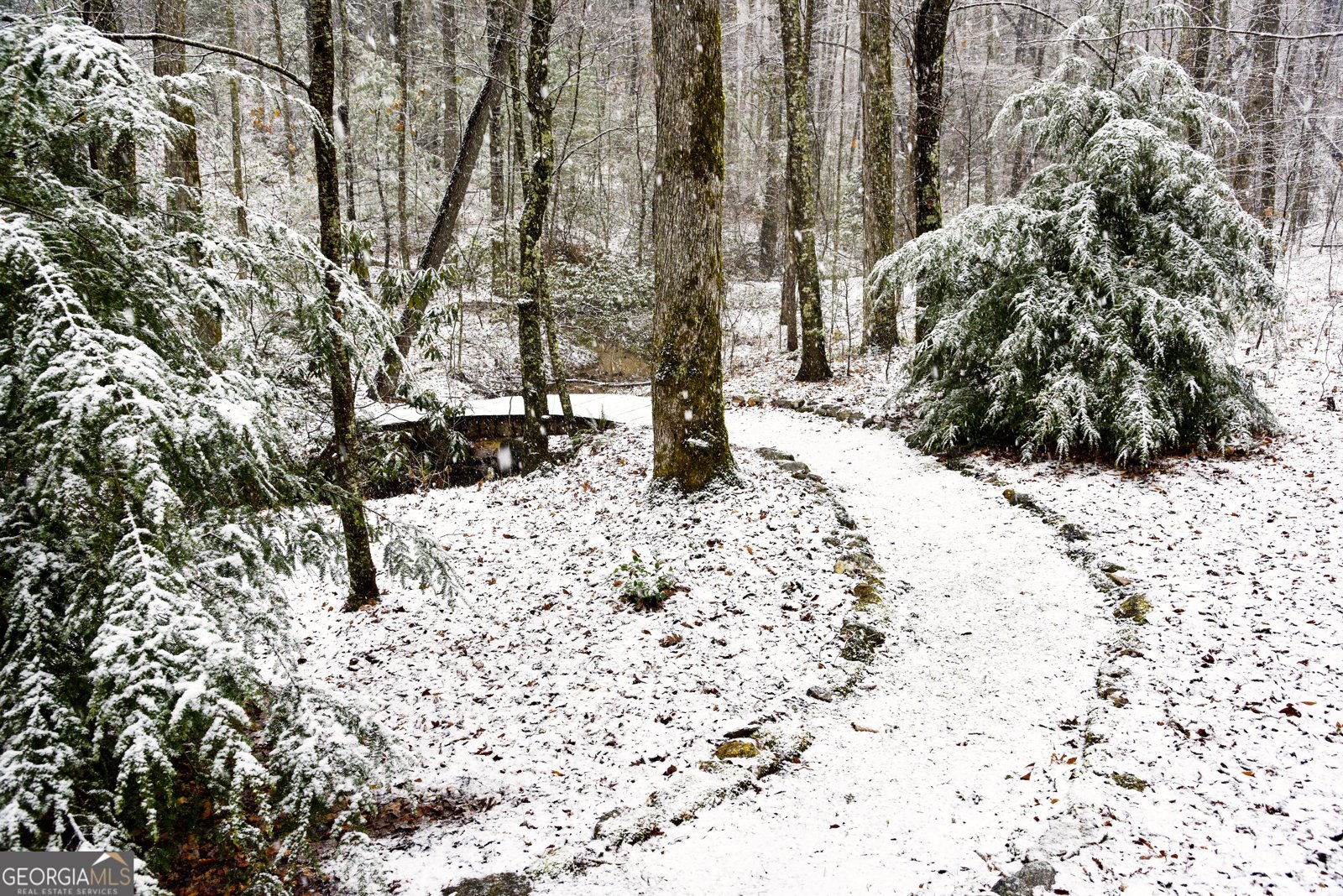 456 Bull Frog Lane Clayton - Photo 83