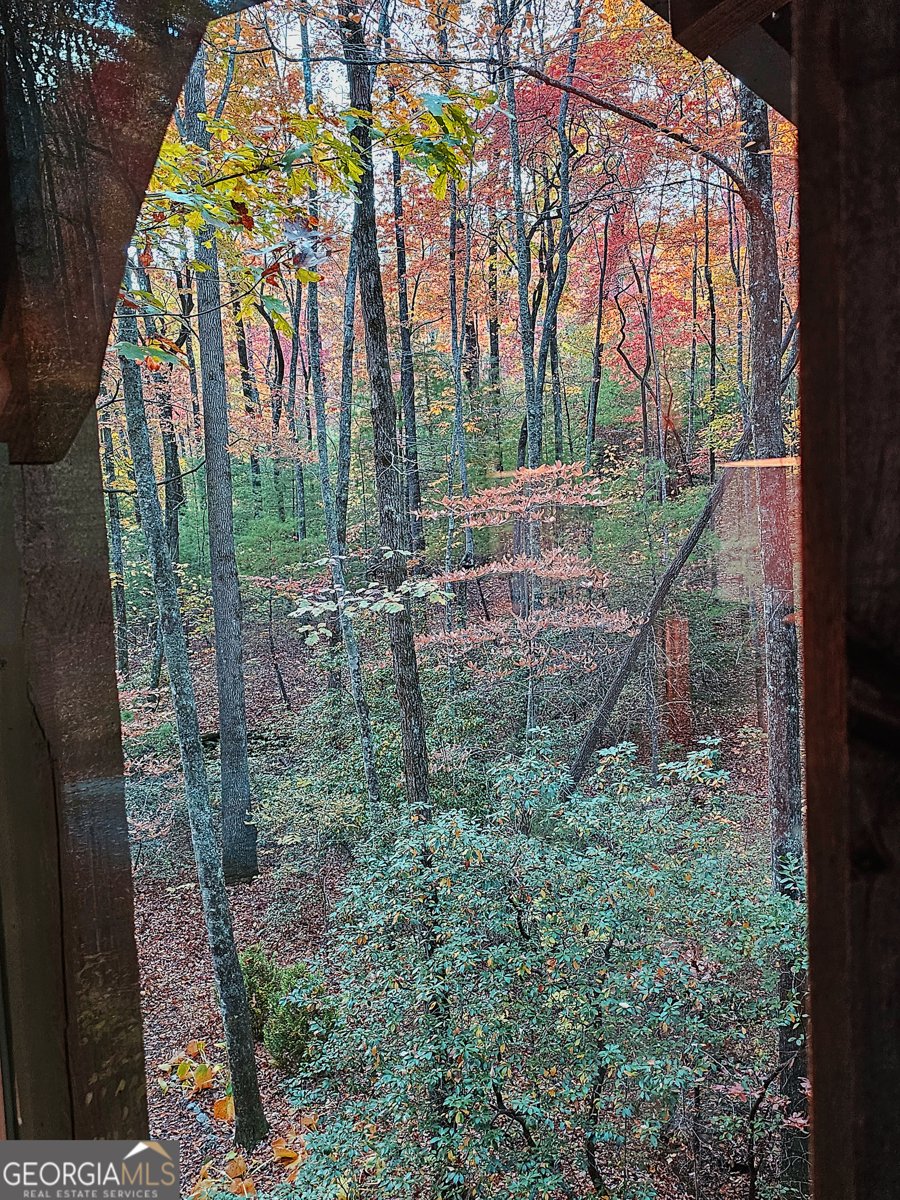 456 Bull Frog Lane Clayton - Photo 84