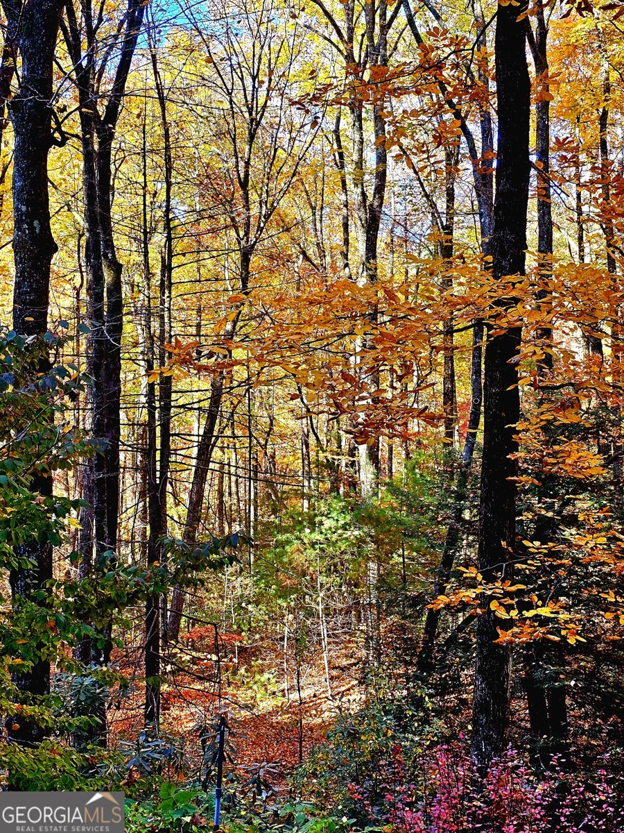 456 Bull Frog Lane Clayton - Photo 85