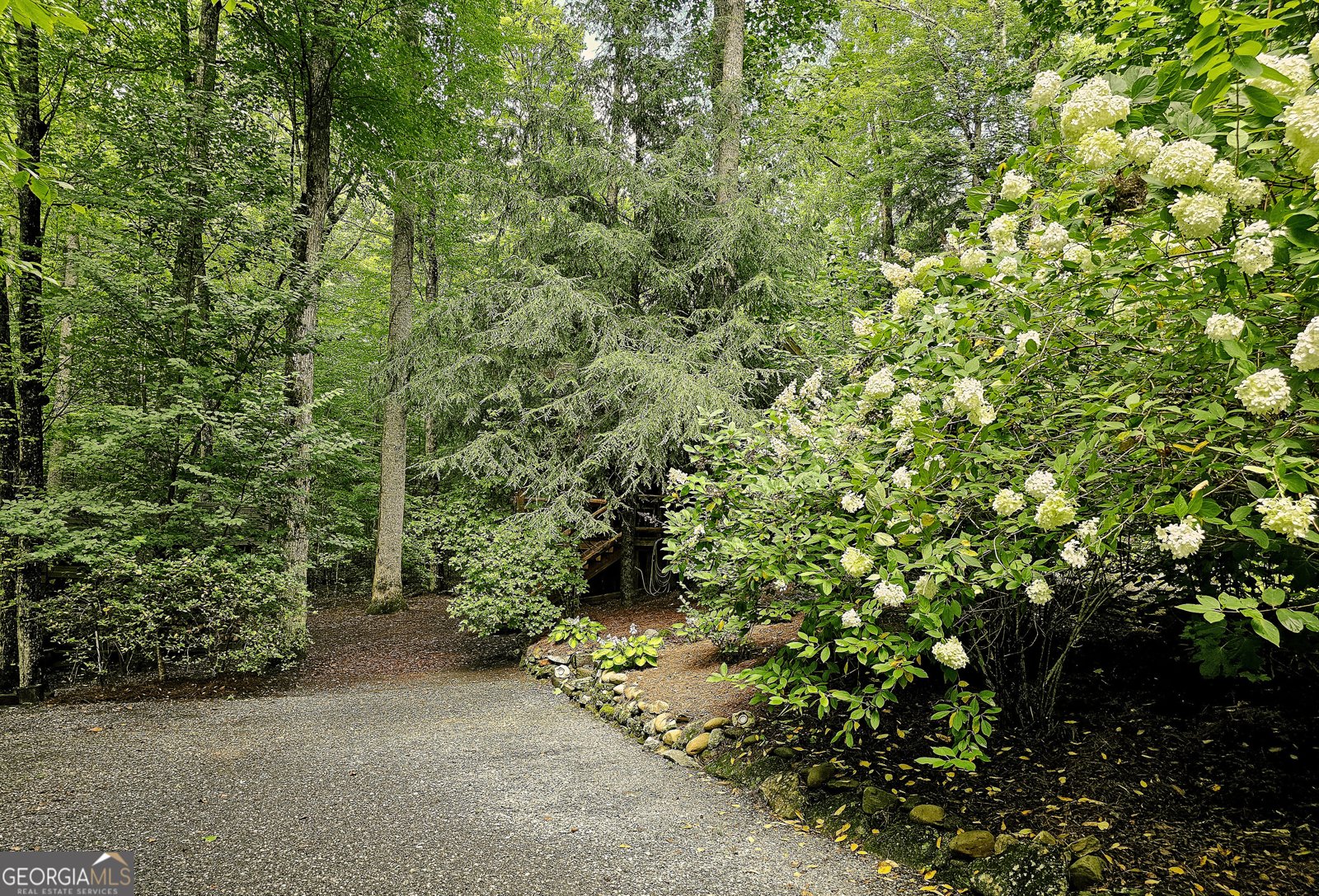 456 Bull Frog Lane Clayton - Photo 90