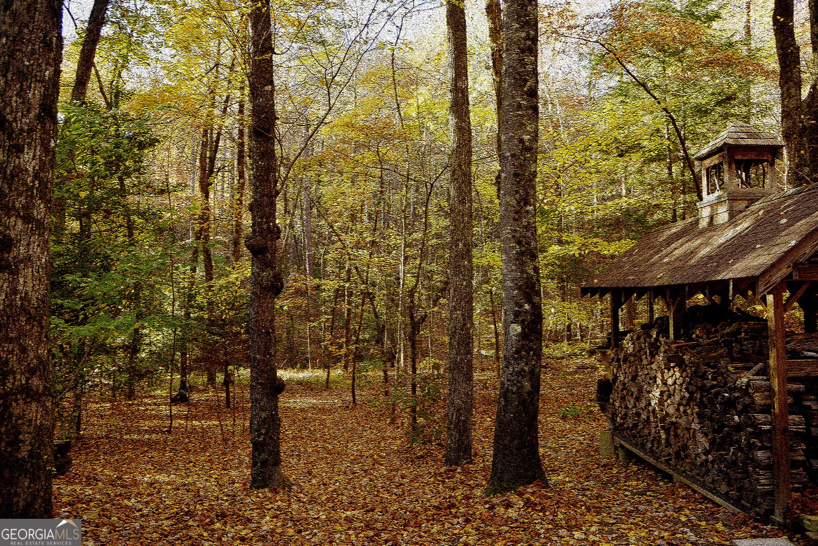 456 Bull Frog Lane Clayton - Photo 93