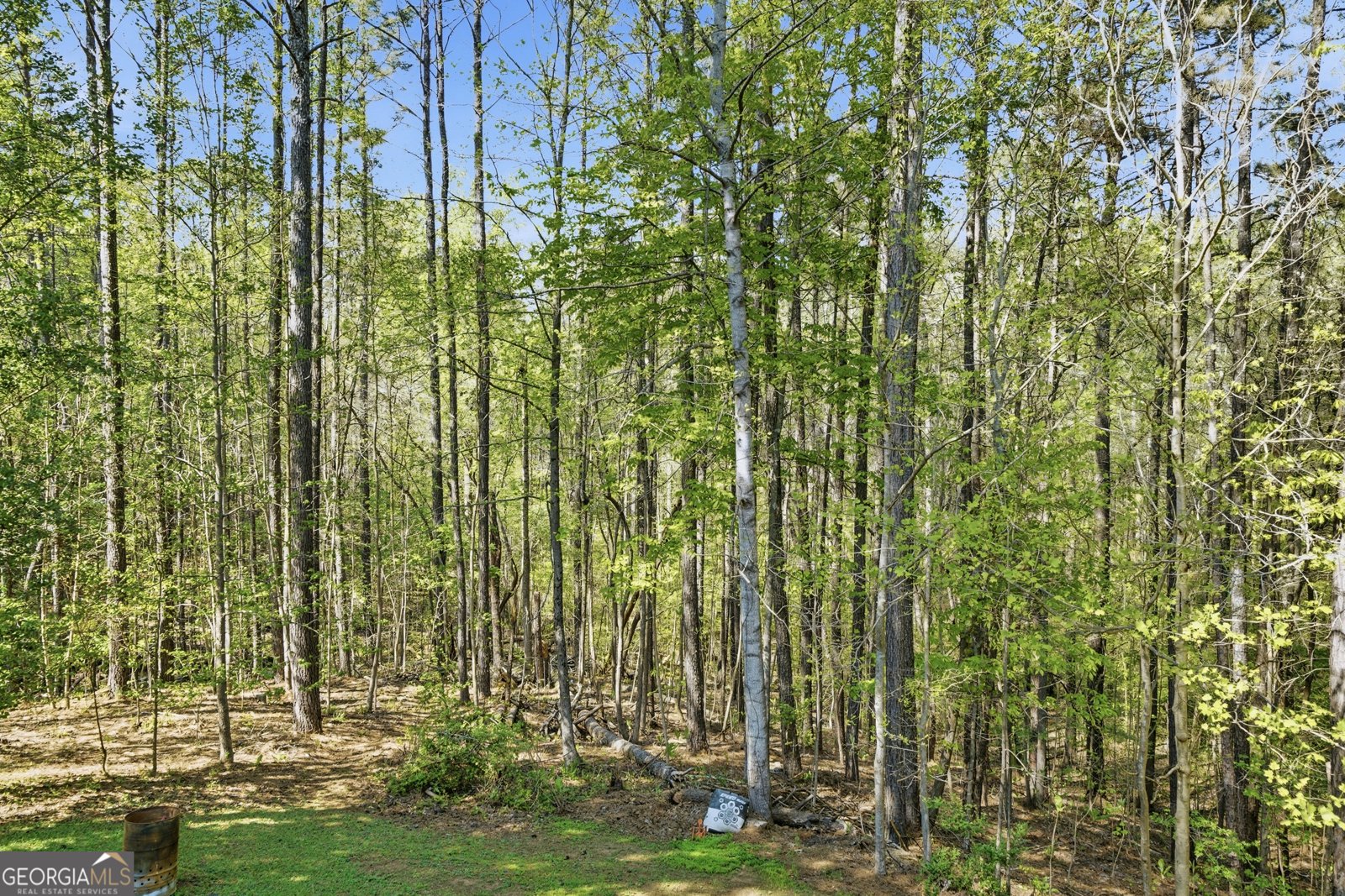 404 Eileen Circle Canton - Photo 38