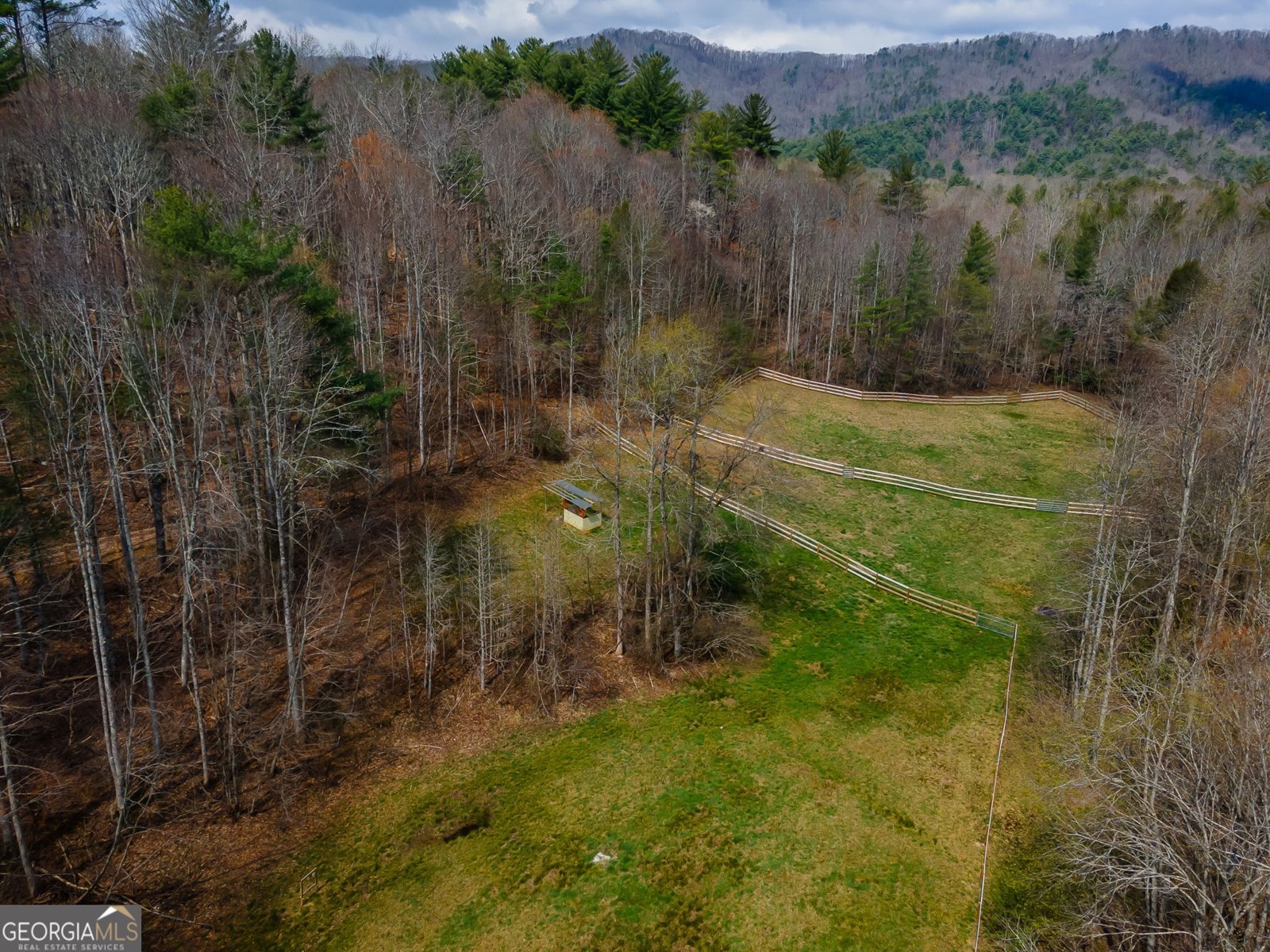 1132 Hells Hollow Road Blue Ridge - Photo 51