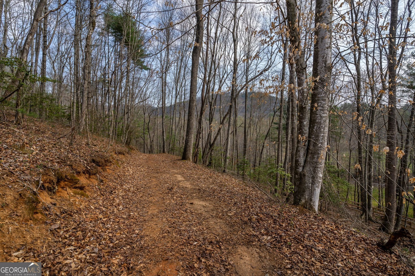 1132 Hells Hollow Road Blue Ridge - Photo 52
