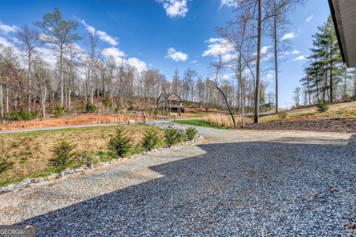 123 Lake Top Lane Ellijay - Photo 42