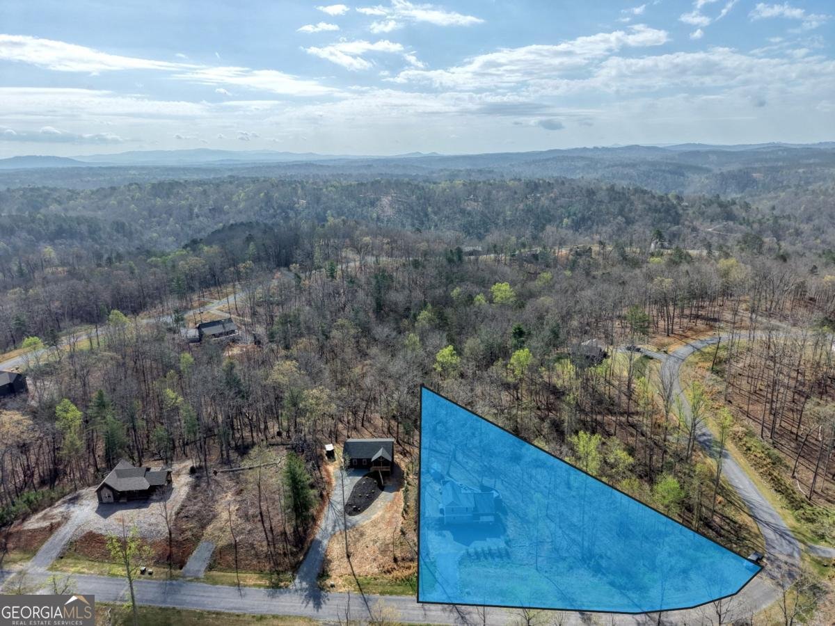 123 Lake Top Lane Ellijay - Photo 48