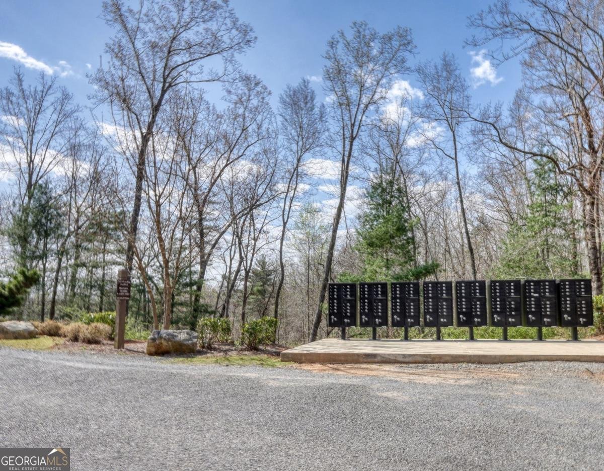 123 Lake Top Lane Ellijay - Photo 54