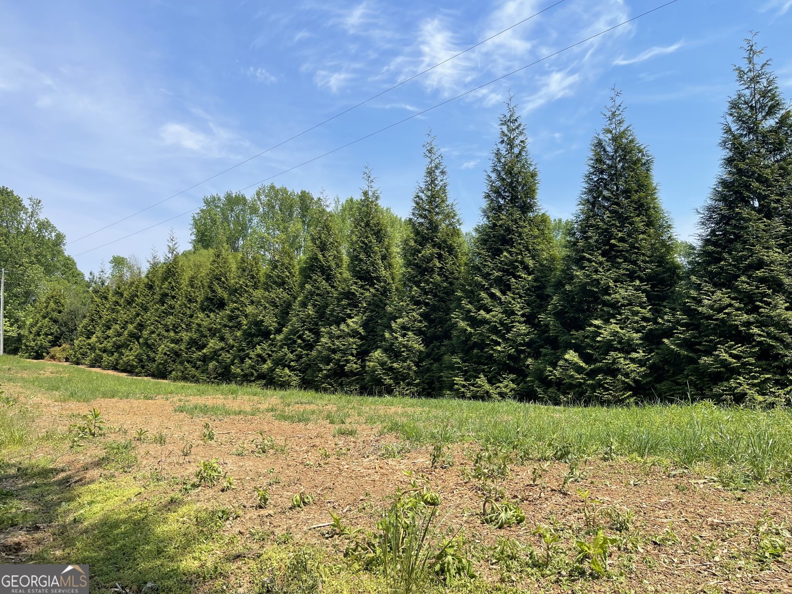 140 Austin Drive McDonough - Photo 32