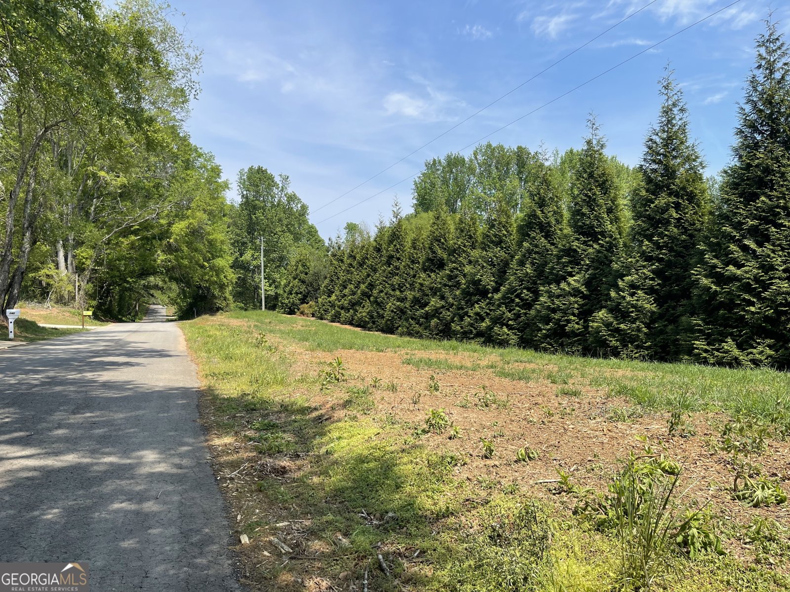 140 Austin Drive McDonough - Photo 35