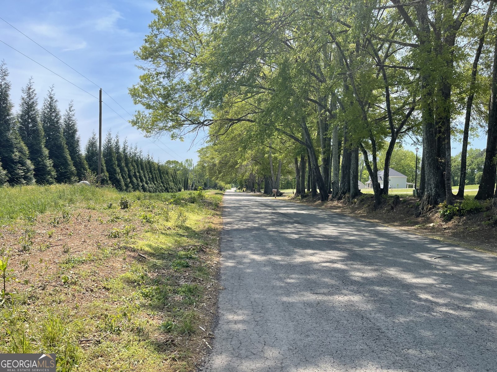 140 Austin Drive McDonough - Photo 40