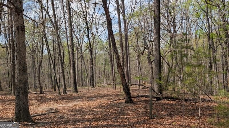 599 Garrison Road Lula - Photo 13