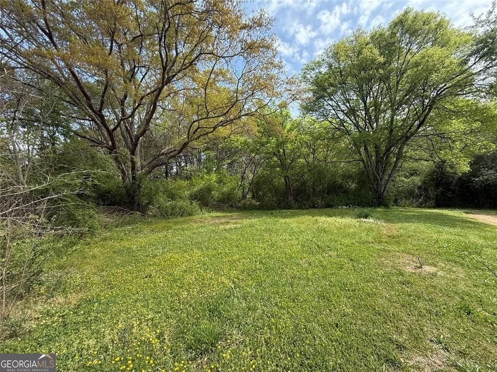 49 Bethlehem Road Cedartown - Photo 9