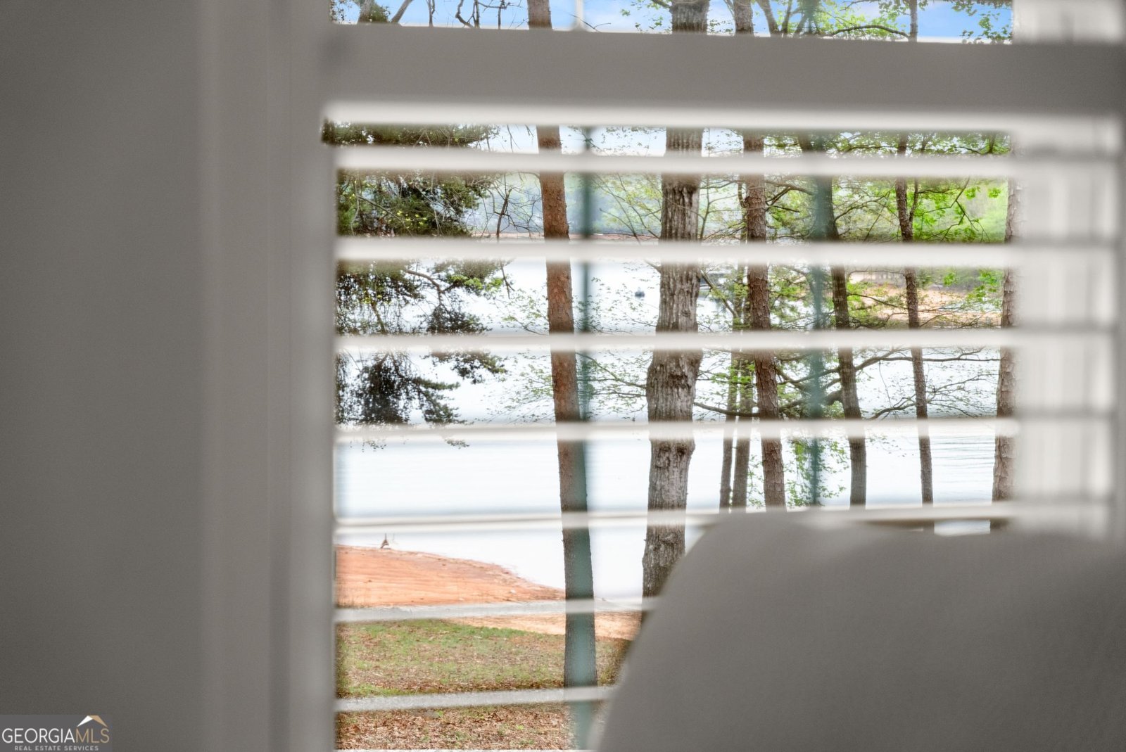 551 Lake Place Drive Lavonia - Photo 29