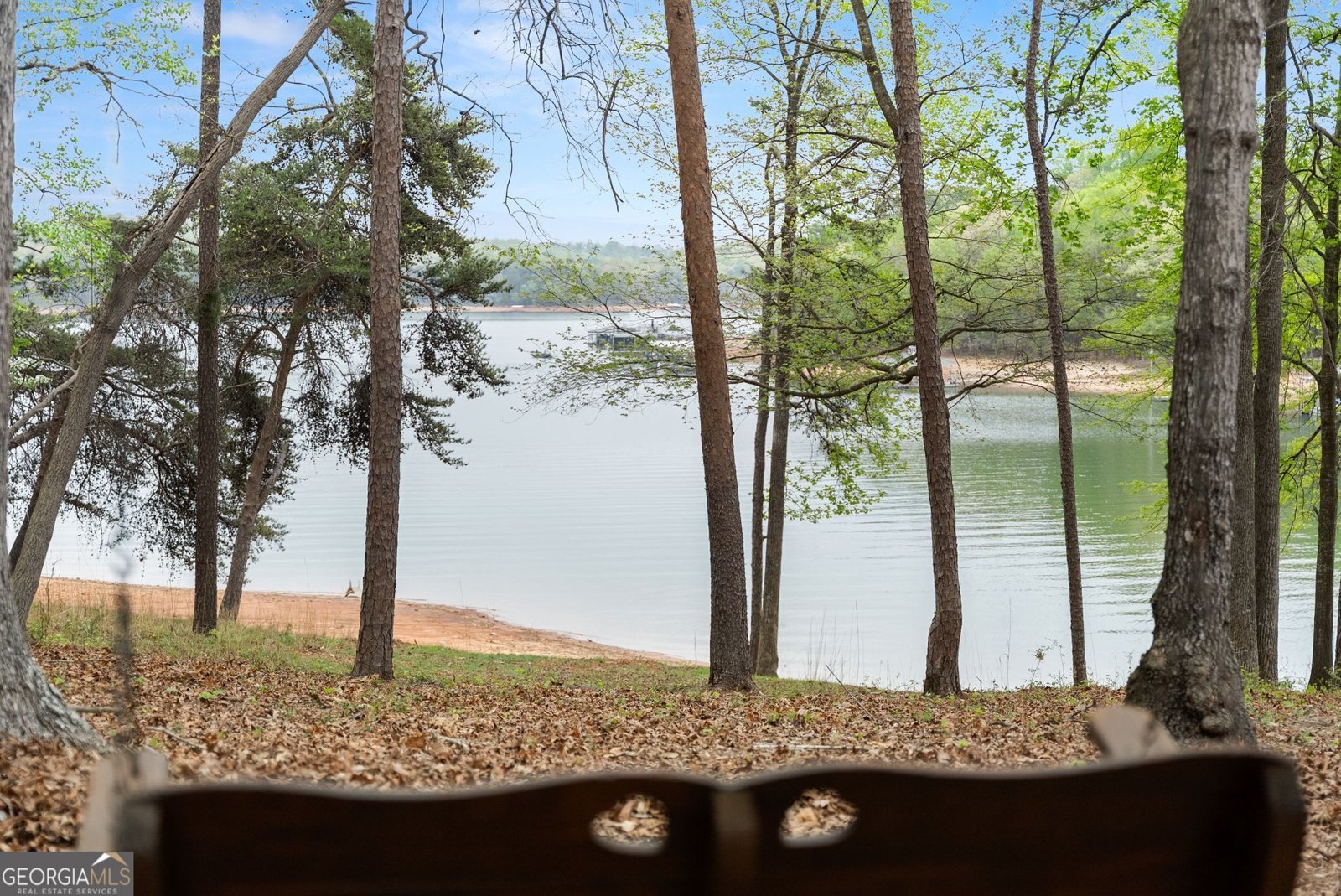 551 Lake Place Drive Lavonia - Photo 31