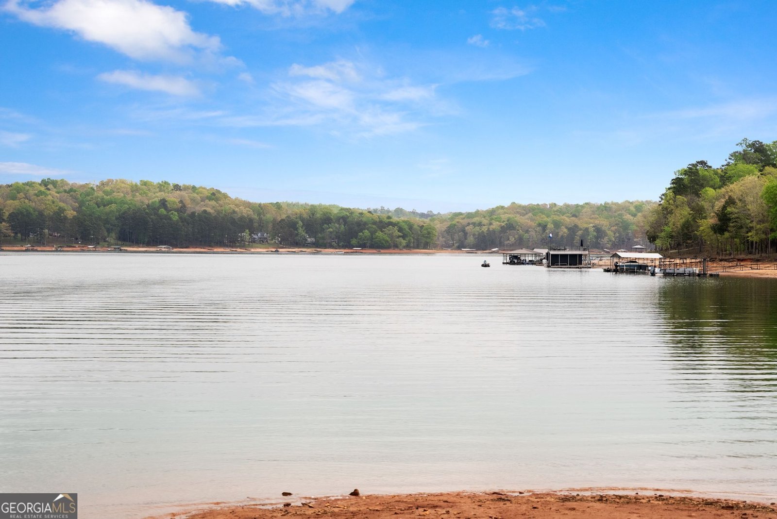 551 Lake Place Drive Lavonia - Photo 33