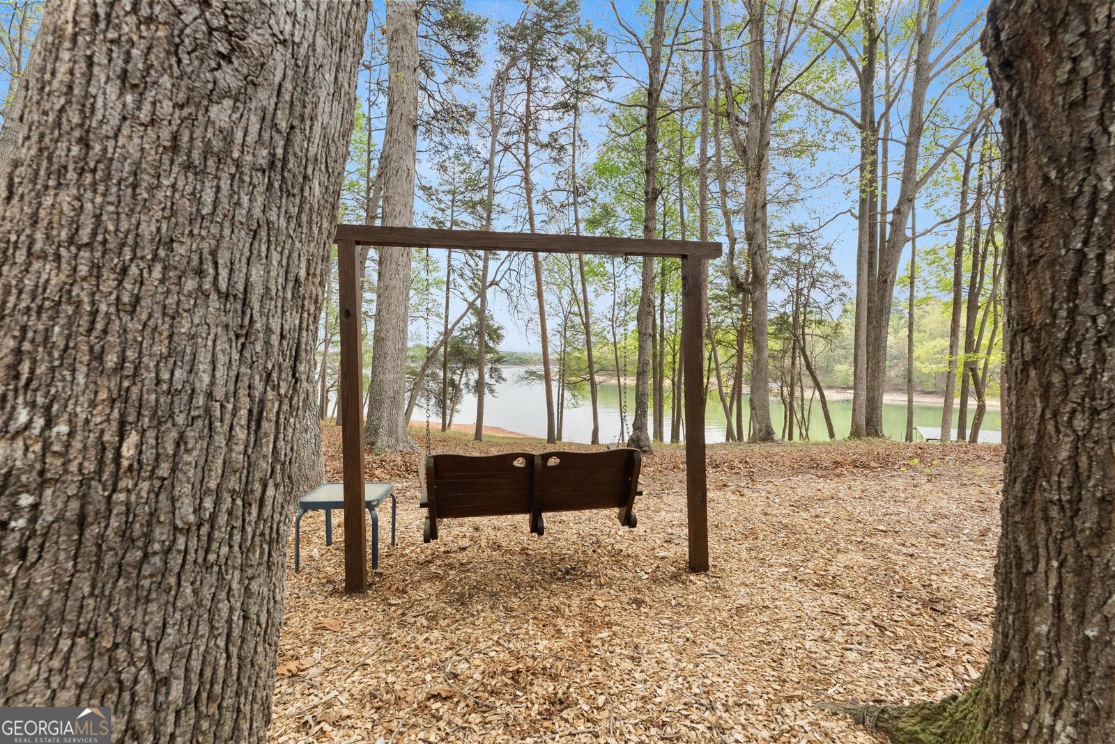 551 Lake Place Drive Lavonia - Photo 39