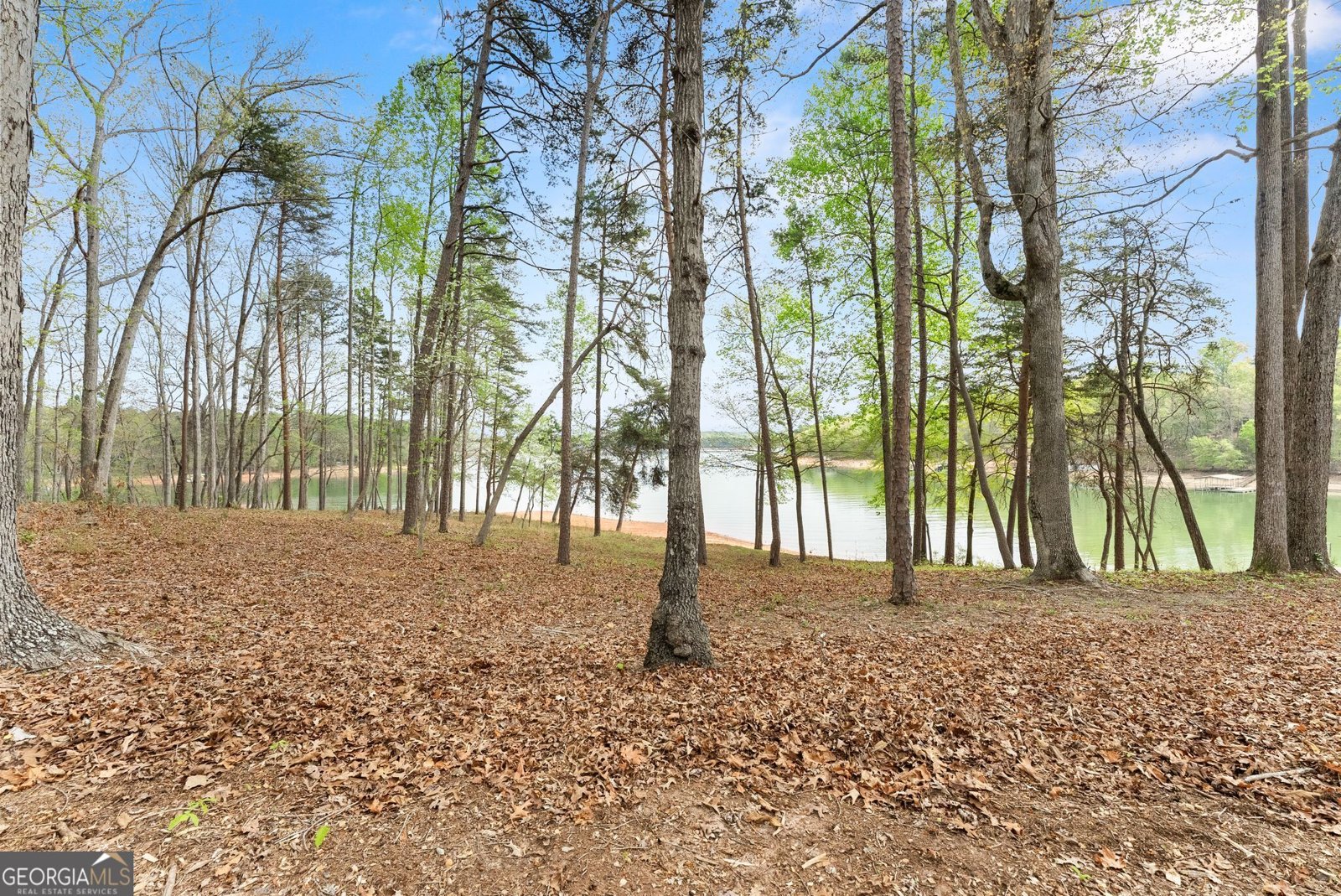 551 Lake Place Drive Lavonia - Photo 40