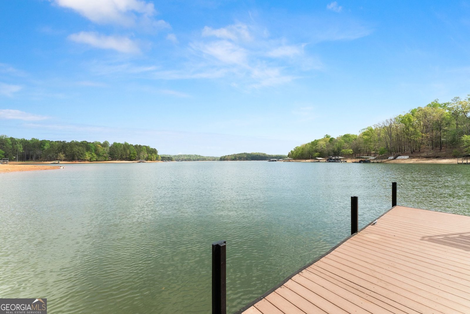 551 Lake Place Drive Lavonia - Photo 46