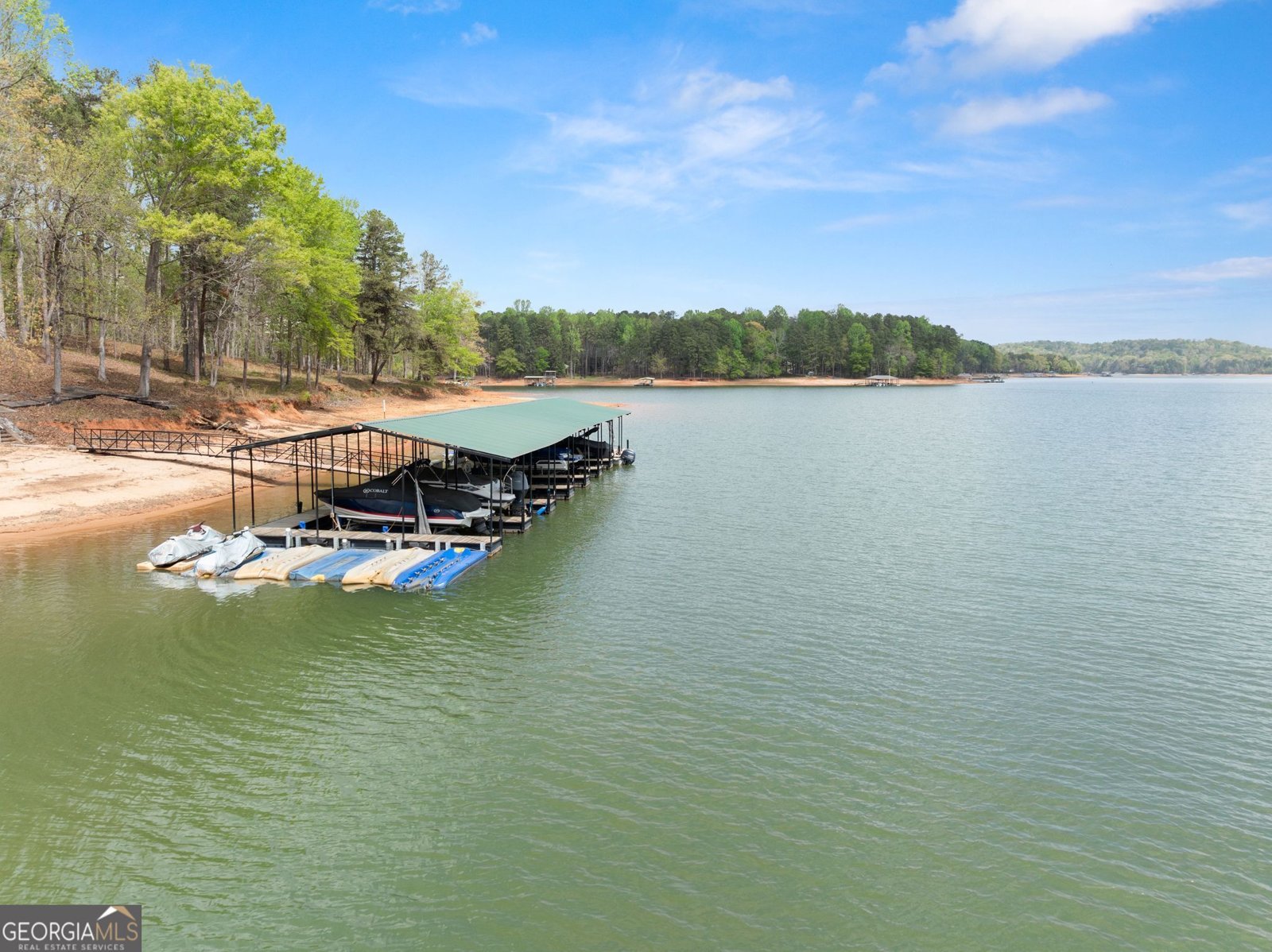 551 Lake Place Drive Lavonia - Photo 48