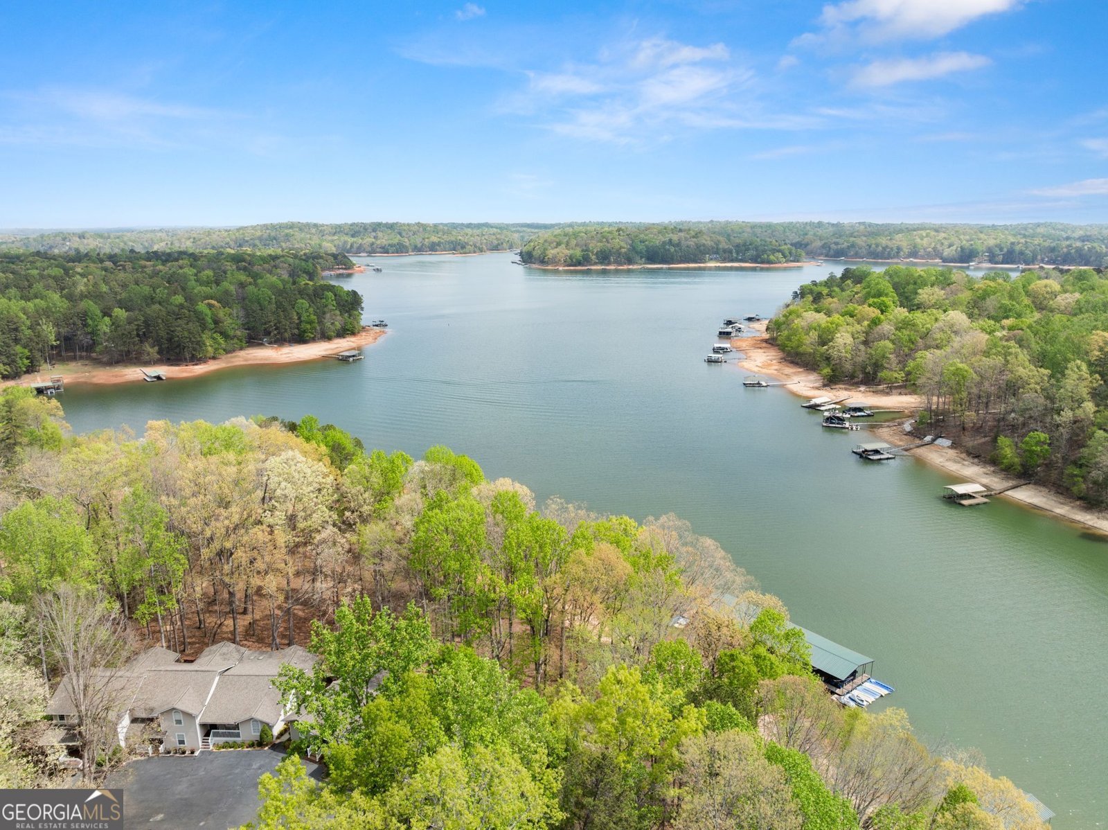 551 Lake Place Drive Lavonia - Photo 49