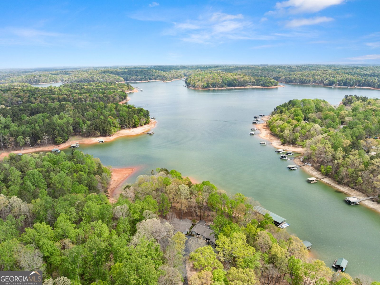 551 Lake Place Drive Lavonia - Photo 51