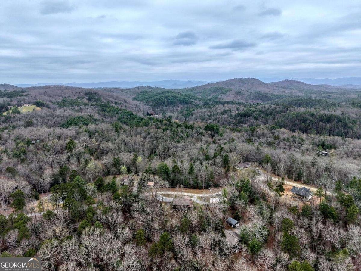 694 Hilltop Road Murphy - Photo 56