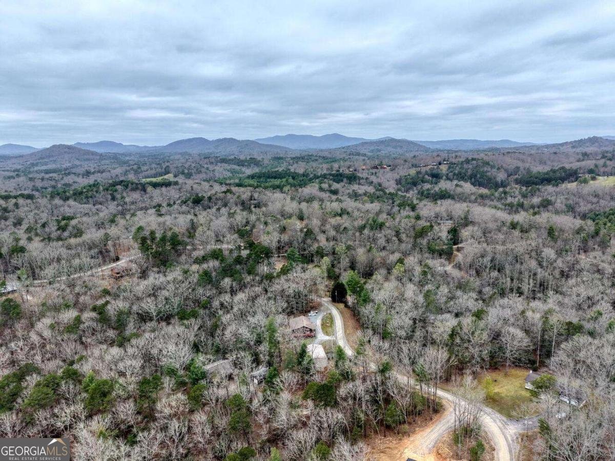 694 Hilltop Road Murphy - Photo 57