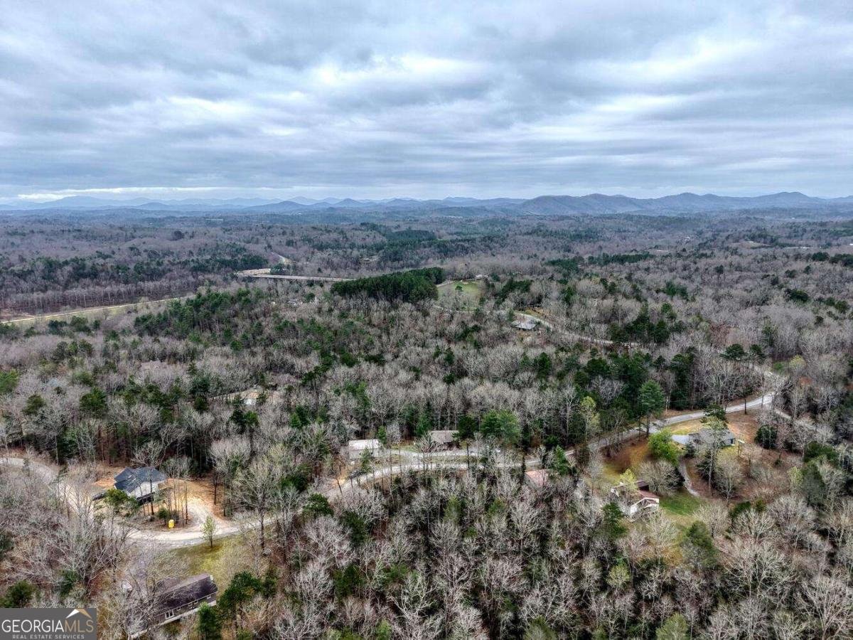 694 Hilltop Road Murphy - Photo 58