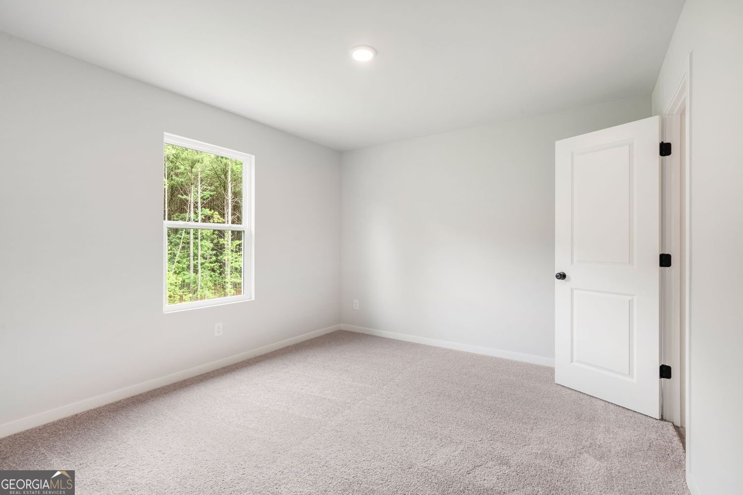 125 Serenade Creek Road McDonough - Photo 23