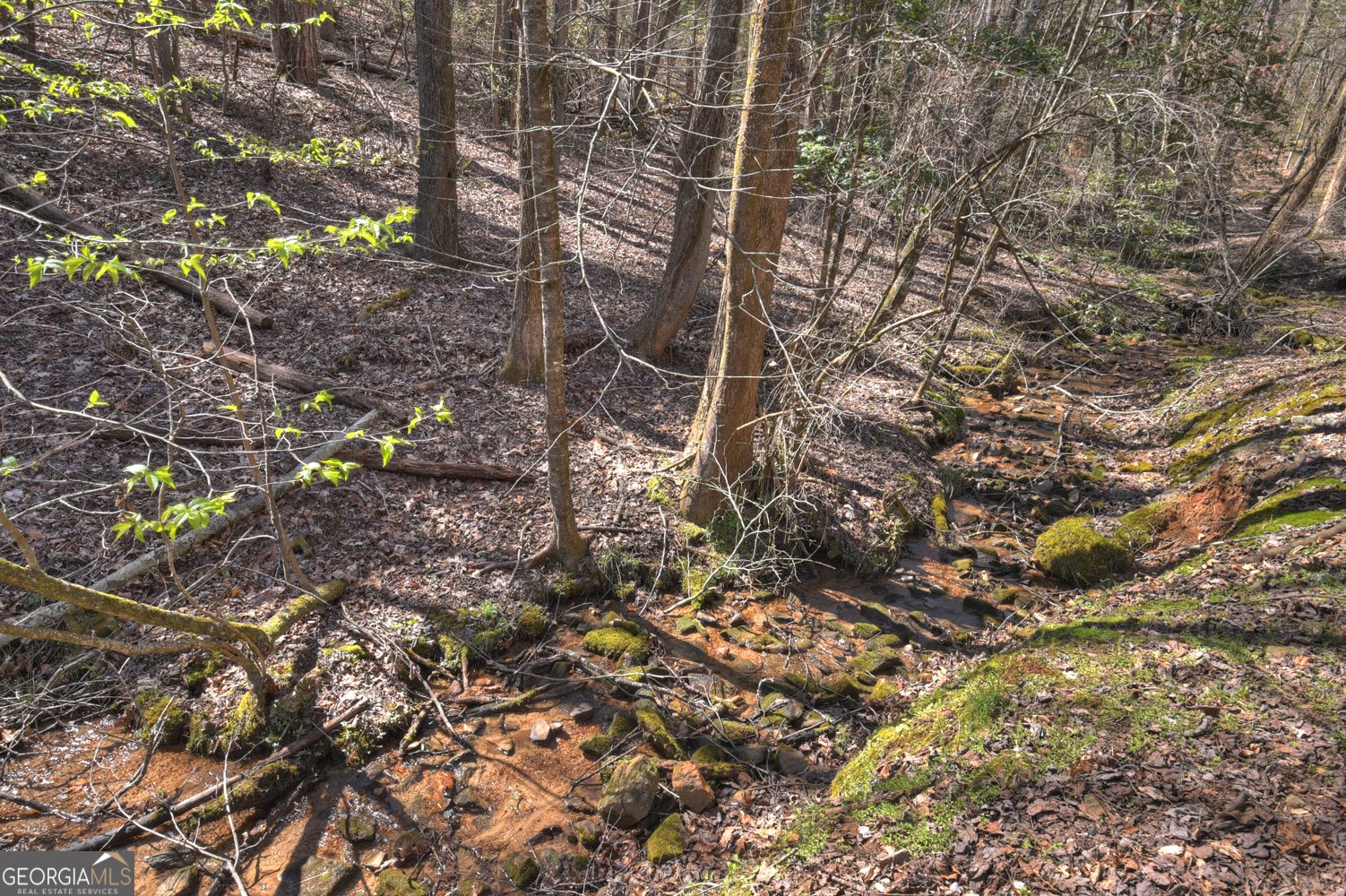 3693 Boardtown Road Ellijay - Photo 47