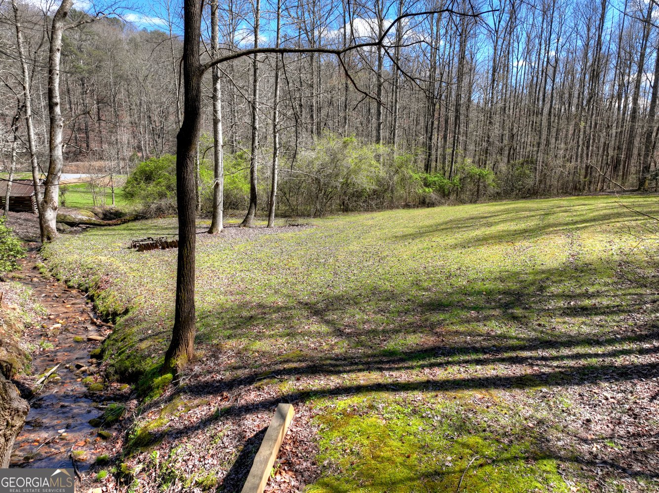 3693 Boardtown Road Ellijay - Photo 49