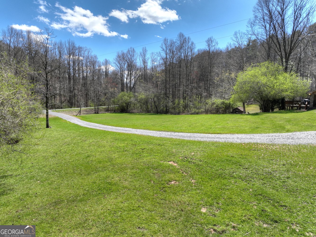 3693 Boardtown Road Ellijay - Photo 50