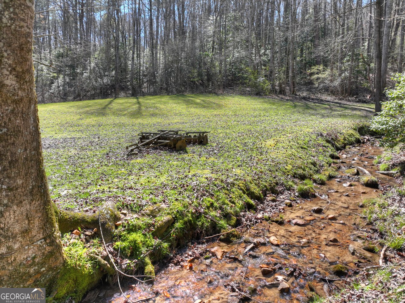 3693 Boardtown Road Ellijay - Photo 6
