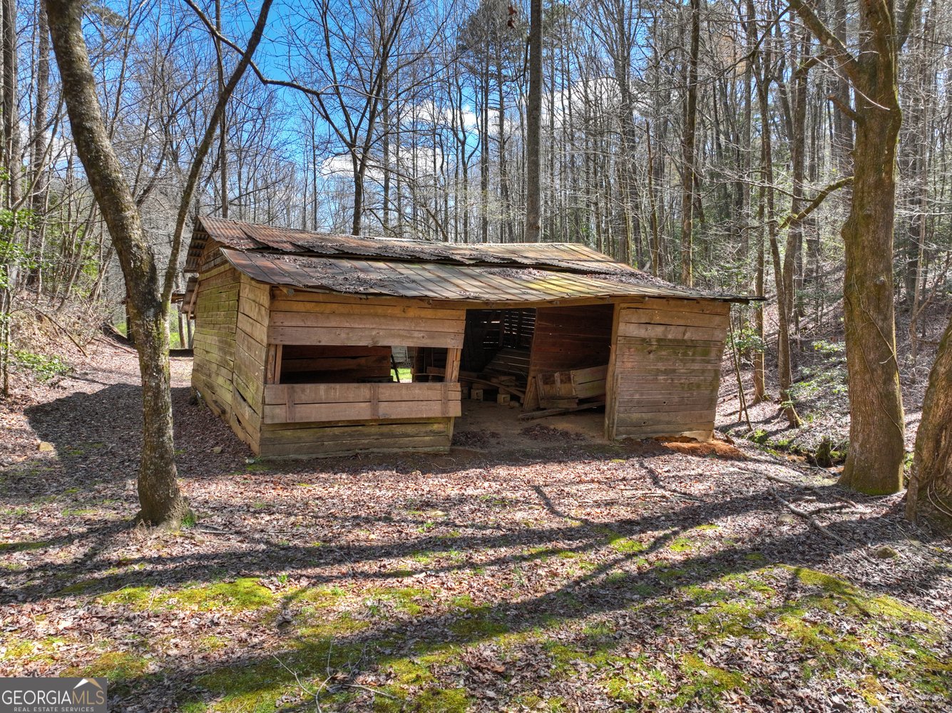 3693 Boardtown Road Ellijay - Photo 61