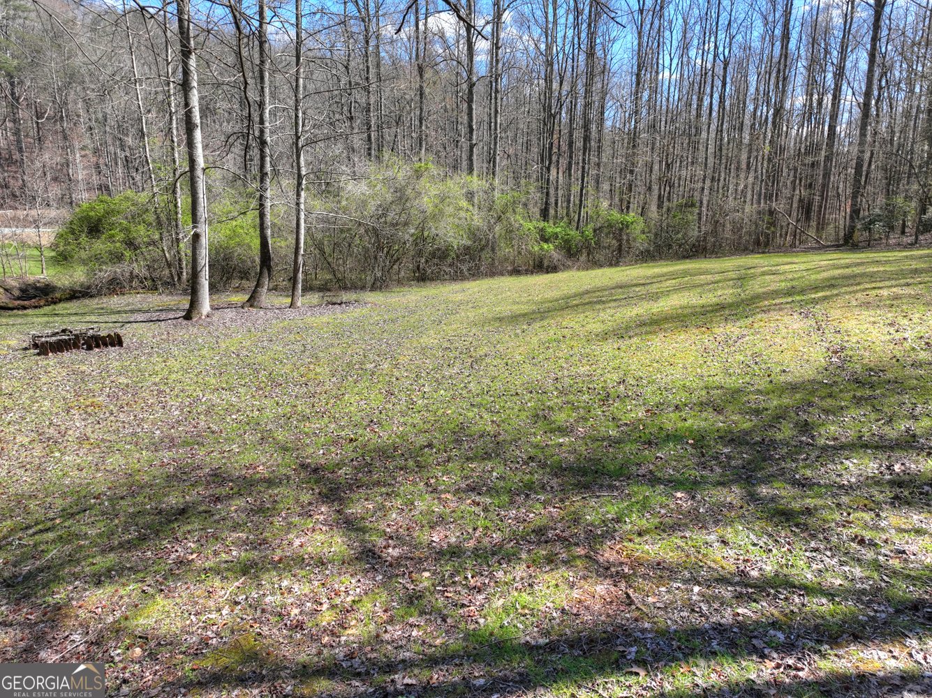 3693 Boardtown Road Ellijay - Photo 64