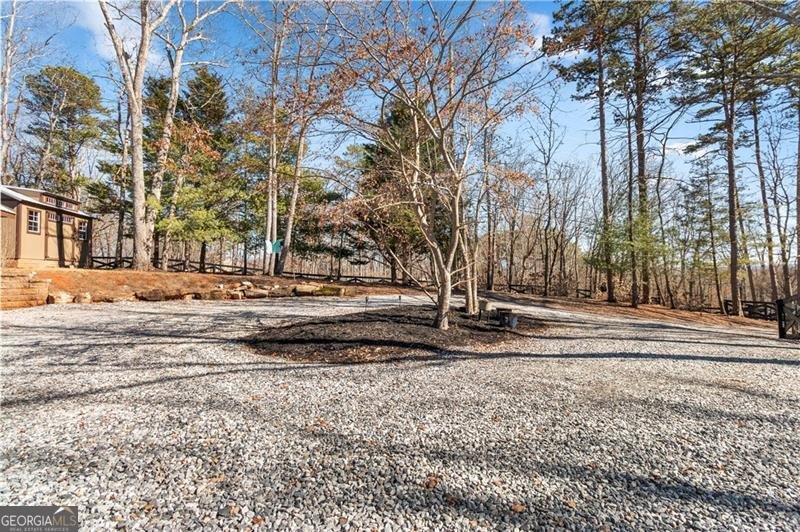 308 Hugh Stowers Road Dawsonville - Photo 61