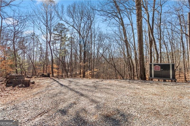 308 Hugh Stowers Road Dawsonville - Photo 74