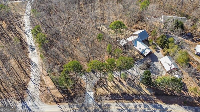 308 Hugh Stowers Road Dawsonville - Photo 81