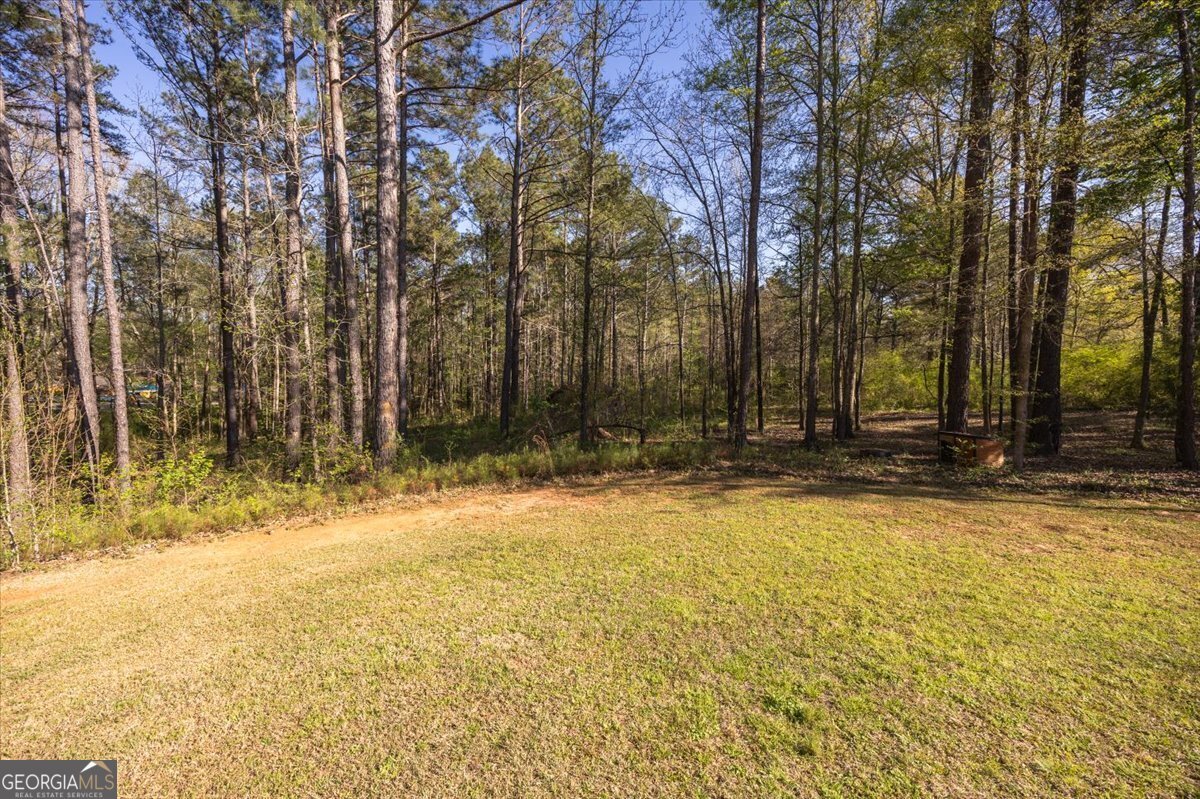 524 King Road Forsyth - Photo 30