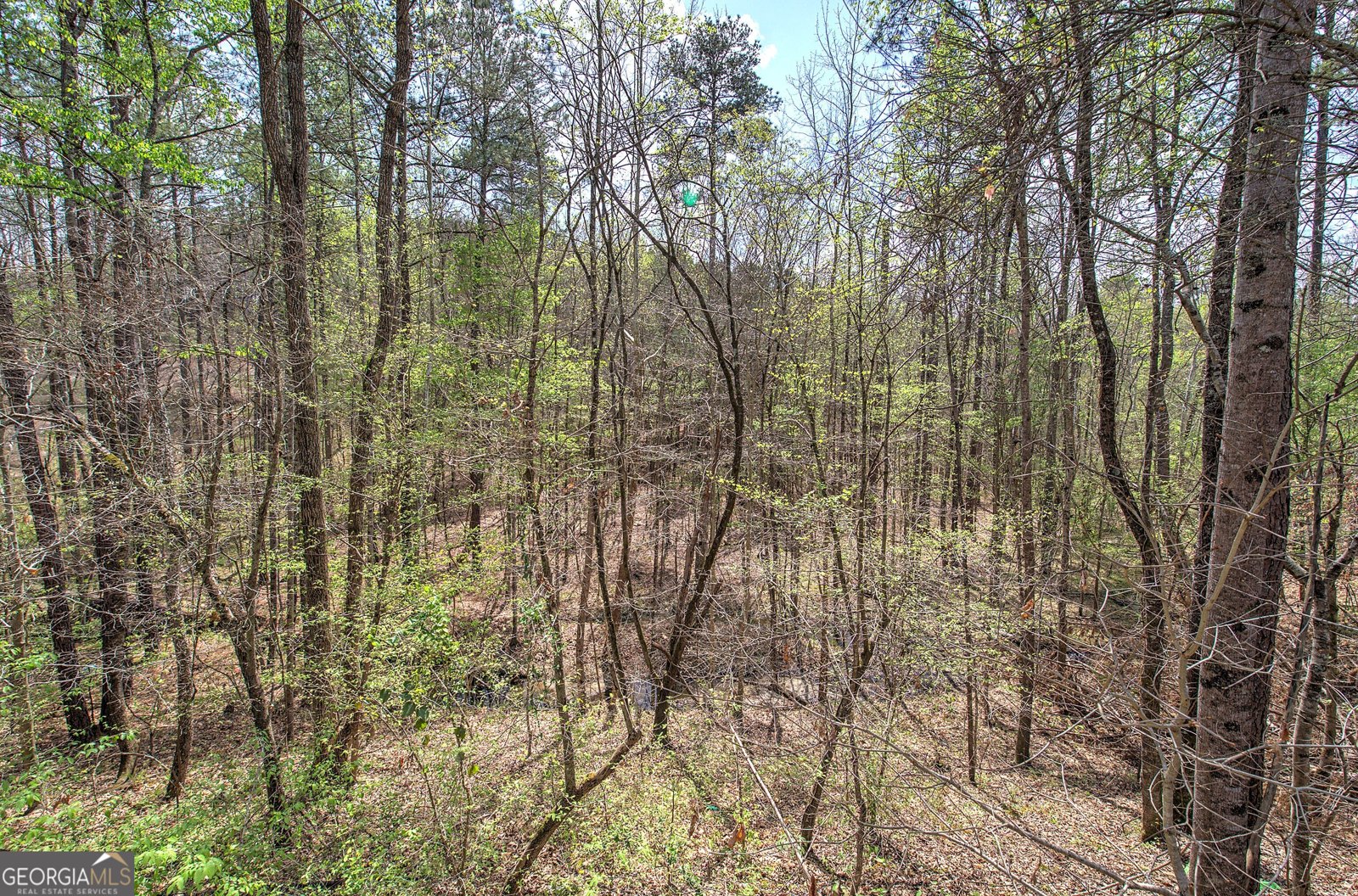 507 Longwood Place Dallas - Photo 63