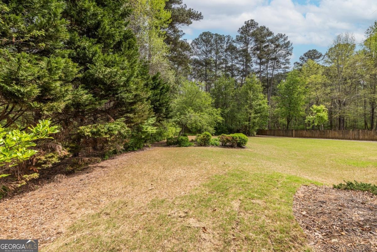 3402 Owens Landing Drive Kennesaw - Photo 89