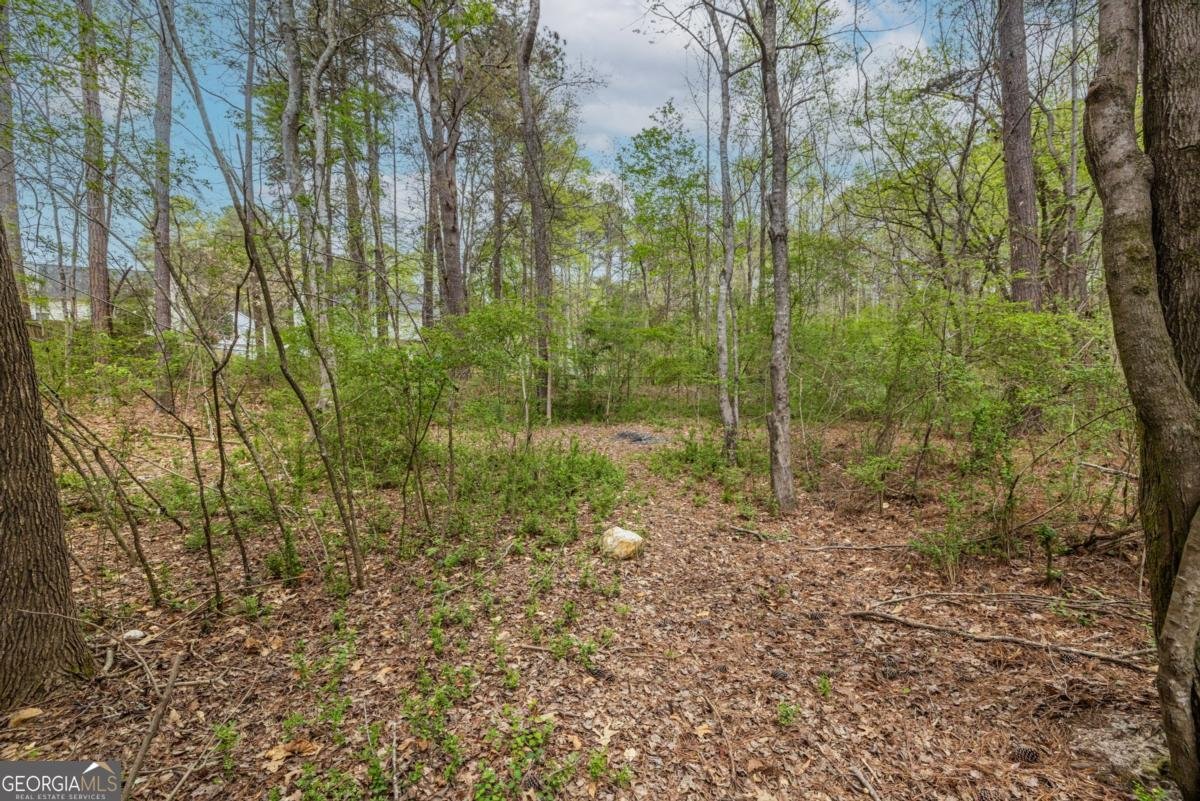 3402 Owens Landing Drive Kennesaw - Photo 94