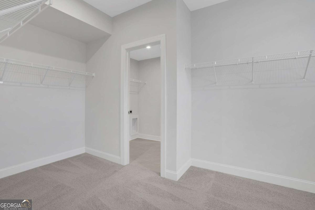 4171 Adler Circle Buford - Photo 28