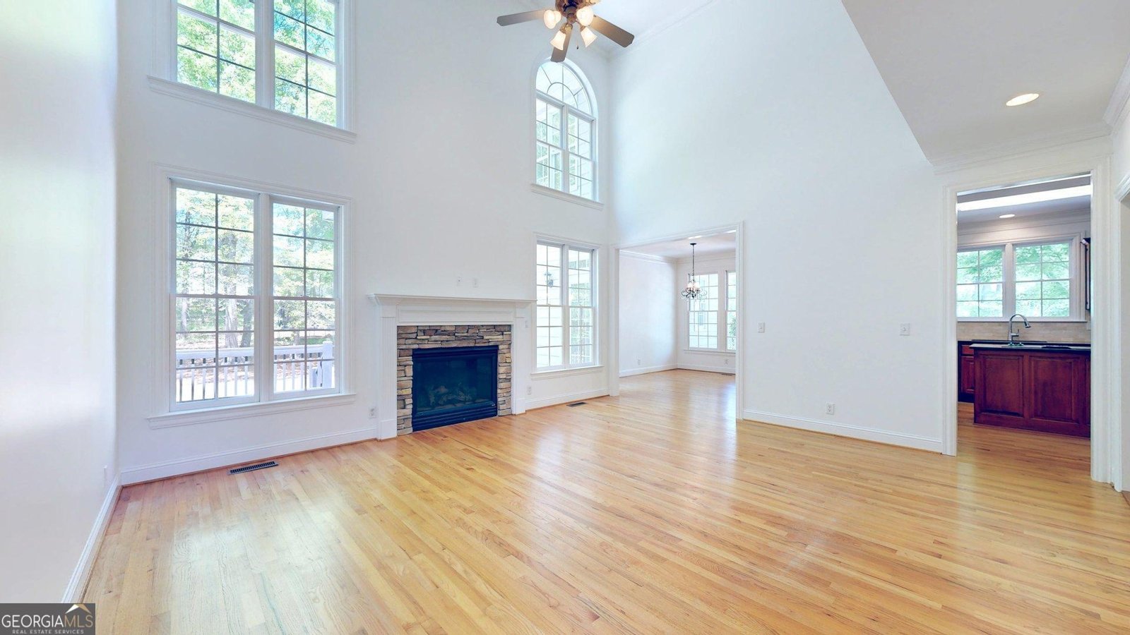 113 Tullamore Trail Tyrone - Photo 14