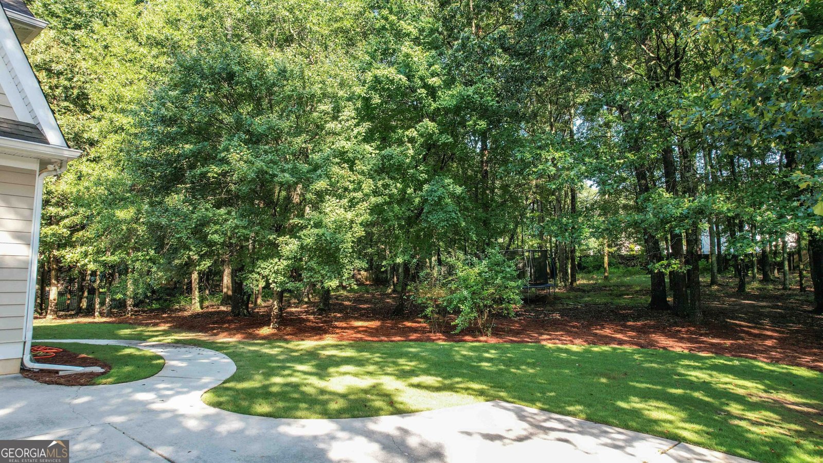 113 Tullamore Trail Tyrone - Photo 7