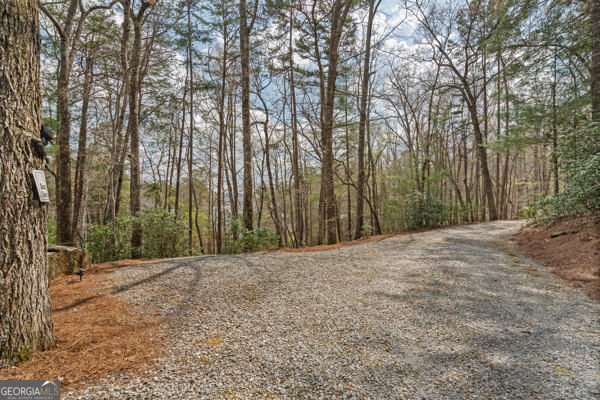 2040 Blalock Goldmine Road Clayton - Photo 72