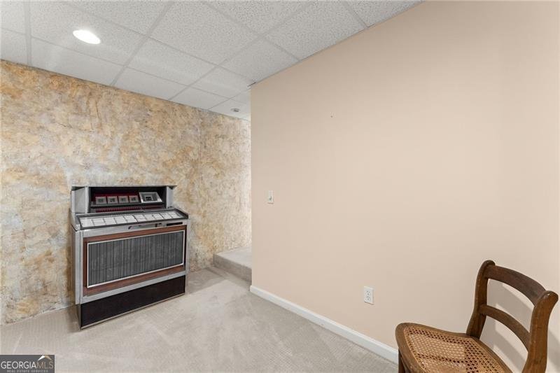 115 Riverview Drive Dawsonville - Photo 45