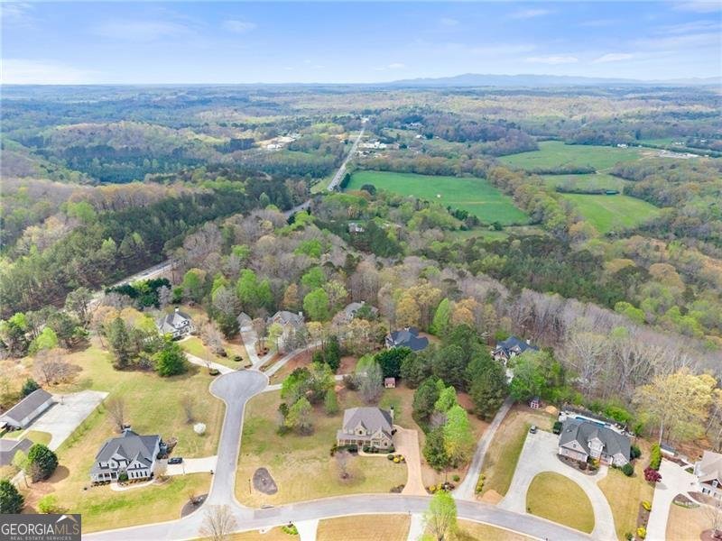 115 Riverview Drive Dawsonville - Photo 65