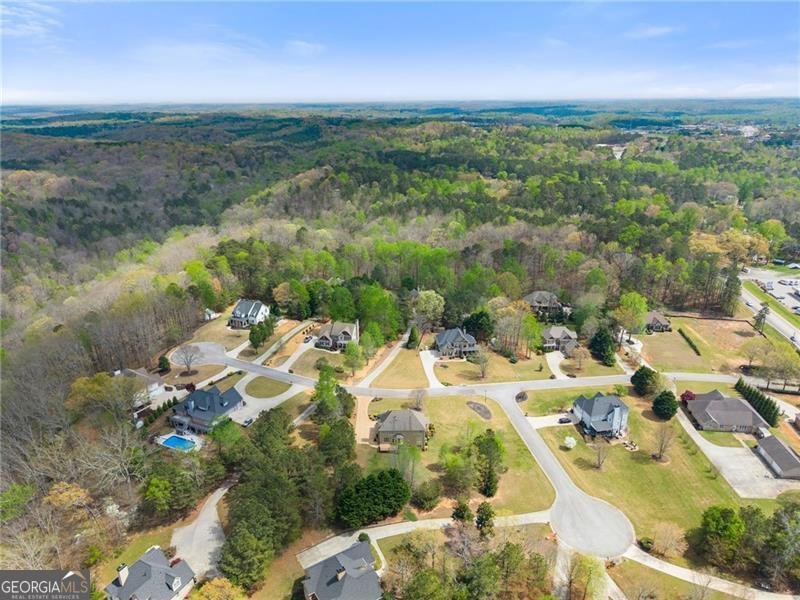 115 Riverview Drive Dawsonville - Photo 69